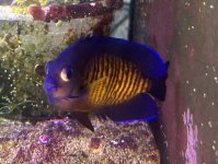 IMG_7837.jpeg