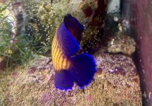 IMG_7838.jpeg