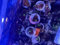 IMG_2010.jpeg