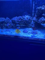 IMG_1040.jpg