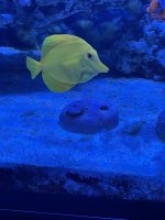 IMG_1039.jpg