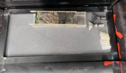 IMG_2036.jpeg