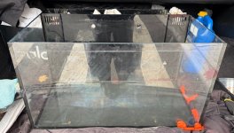 IMG_2035.jpeg