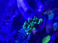 IMG_2946.jpeg