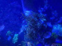 IMG_2950.jpeg
