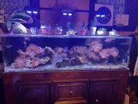 IMG_2050.jpeg