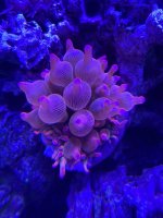 IMG_6196.jpeg