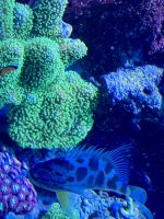 IMG_3206.jpeg