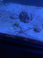 IMG_1112.jpg