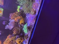 IMG_0673.jpeg