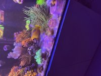 IMG_0672.jpeg