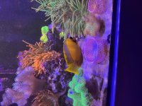 IMG_0671.jpeg
