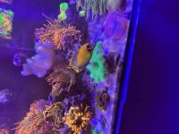IMG_0674.jpeg