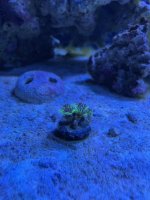 IMG_1031.jpg