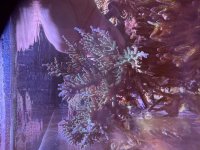 IMG_3634.jpeg