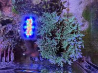 IMG_3179.jpeg