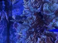 IMG_3174.jpeg