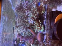 IMG_3172.jpeg