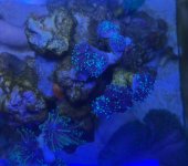 IMG_8831.jpeg