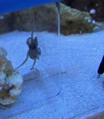 IMG_2062.jpeg