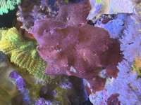 IMG_1770.jpeg