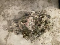 pukani_overhead.jpg