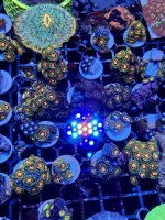 IMG_3403.jpeg