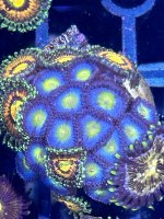 IMG_3556.jpeg