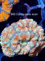 IMG_3405.jpeg