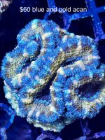 IMG_3406.jpeg
