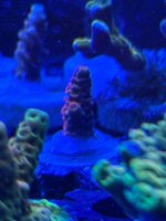 IMG_3813.jpeg