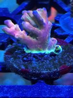 IMG_3814.jpeg