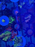 IMG_3812.jpeg