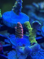 IMG_3808.jpeg