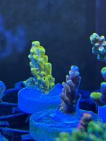 IMG_3806.jpeg