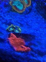 IMG_3802.jpeg