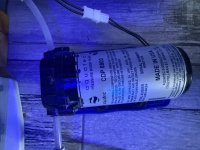 IMG_8141.jpeg