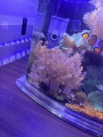 IMG_2036.JPEG