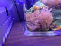 IMG_2037.JPEG