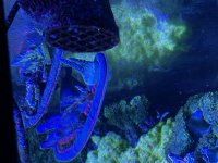 IMG_3325.jpeg