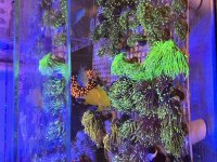 IMG_2276.jpeg