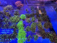 IMG_2283.jpeg