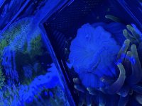 IMG_9233.jpeg