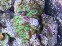 IMG_0826.jpeg