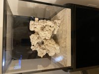 IMG_8020.jpeg