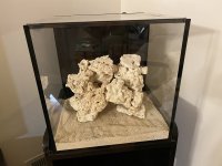 IMG_8022.jpeg