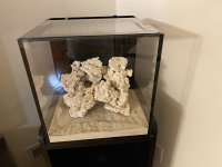 IMG_8021.jpeg