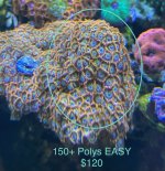 IMG_8522.jpeg