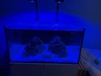 IMG_4614.jpeg