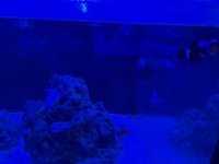 IMG_4615 (1).jpeg